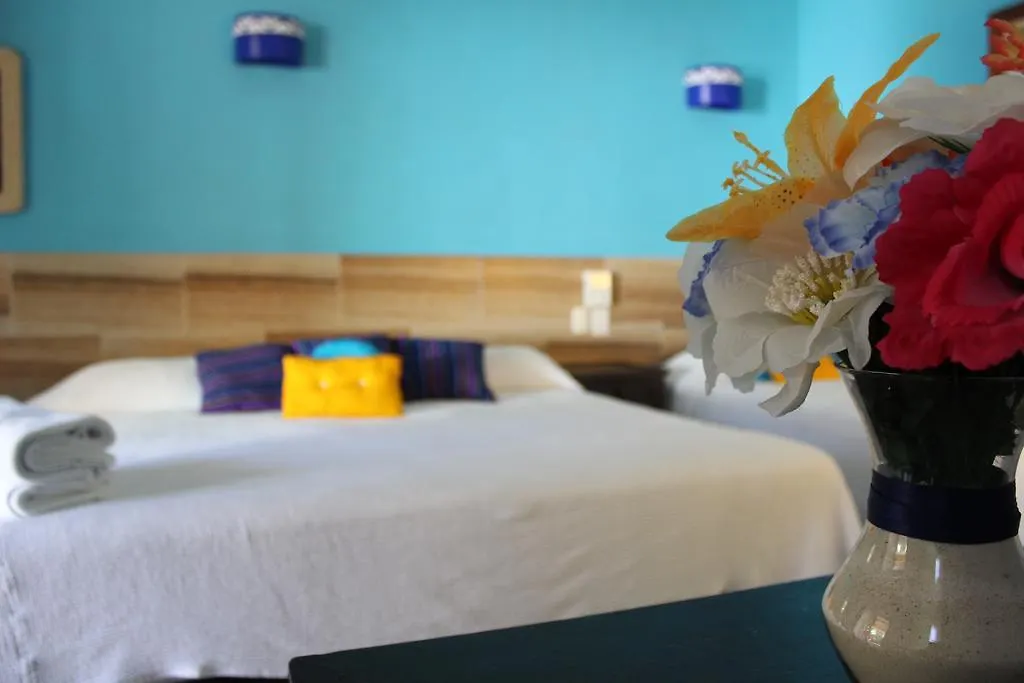 El Acuario Hotel بلايا ديل كارمن
