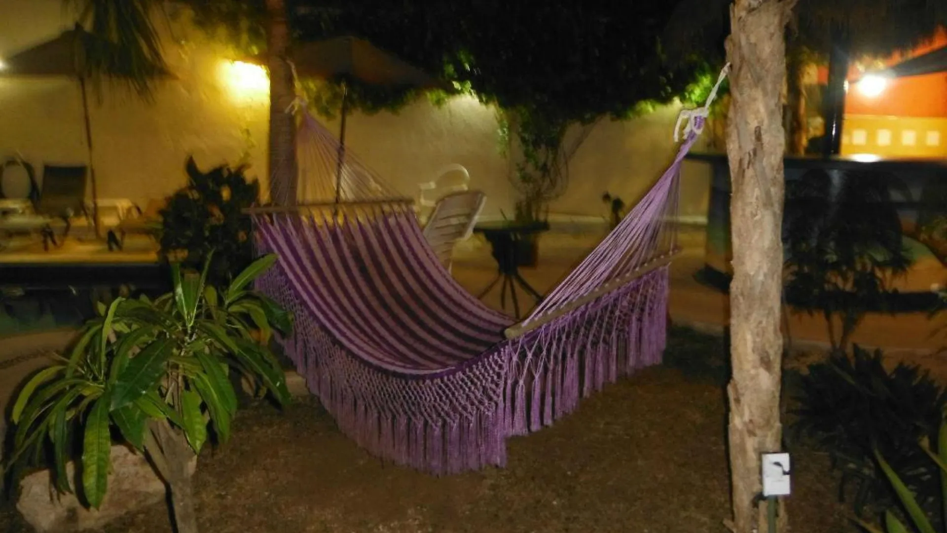 El Acuario Hotel بلايا ديل كارمن
