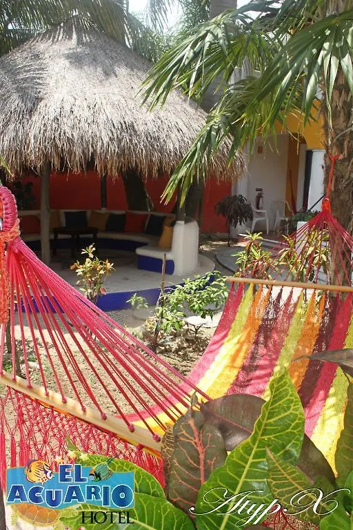El Acuario Hotel بلايا ديل كارمن المكسيك