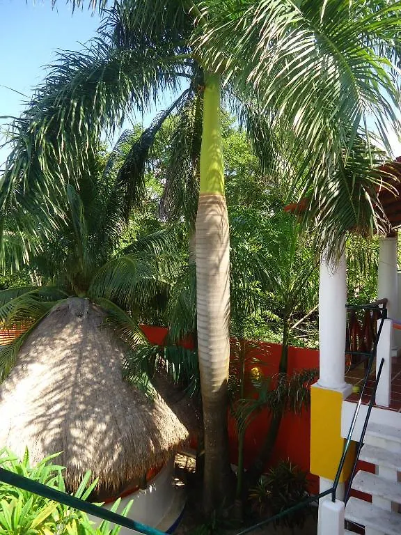 El Acuario Hotel بلايا ديل كارمن