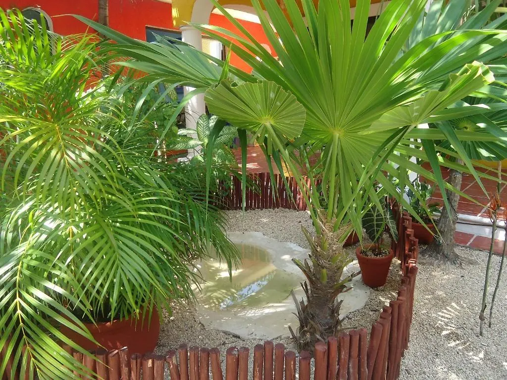 El Acuario Hotel بلايا ديل كارمن