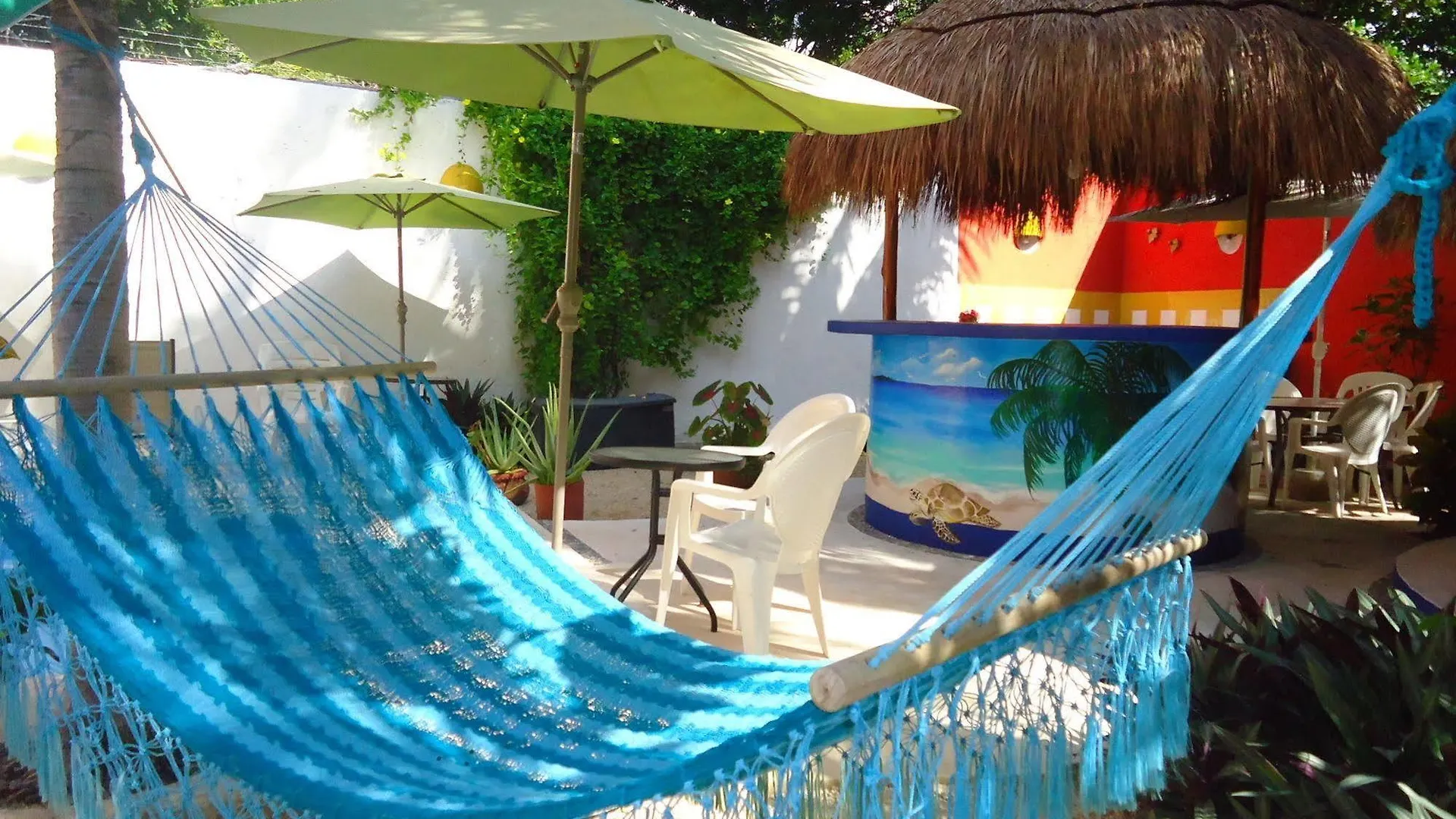 El Acuario Hotel بلايا ديل كارمن المكسيك