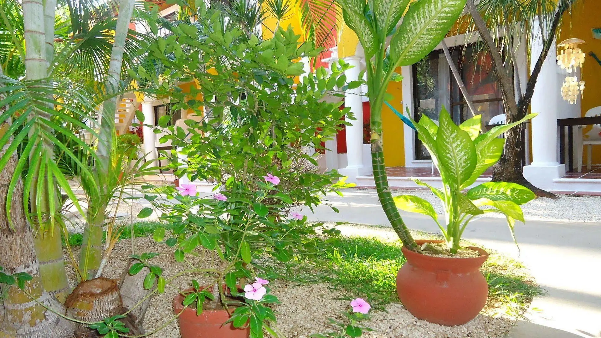 El Acuario Hotel بلايا ديل كارمن